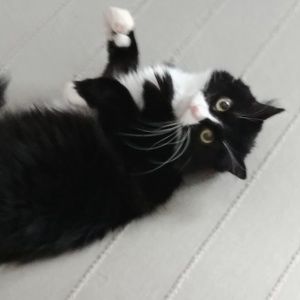 Meet your Posher, Scott